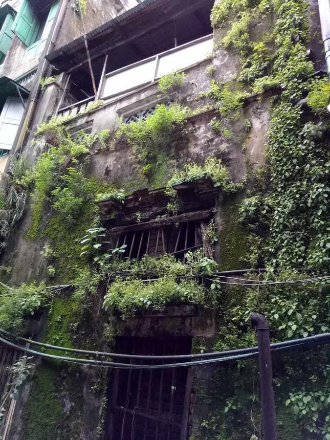 Baobabed Hostel Yangon, Myanmar Zewnętrze zdjęcie