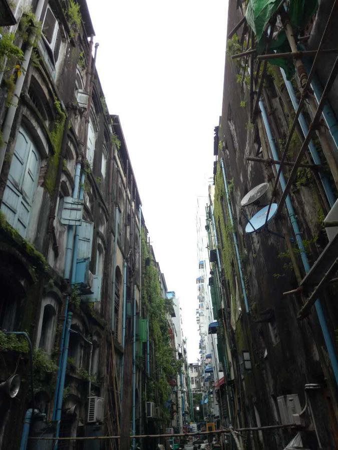 Baobabed Hostel Yangon, Myanmar Zewnętrze zdjęcie